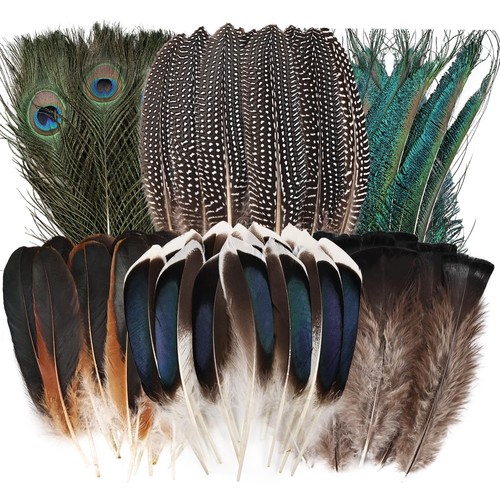 50pcs natural feathers bulk - natural,