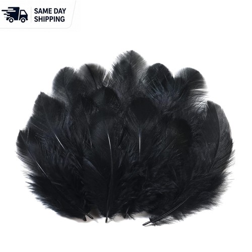 Natural rooster feathers - natural,