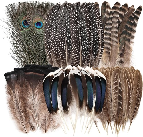 Natural feathers bulk - feathers, 55pcs